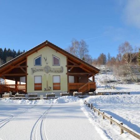 Le Chalet Du Bucheron Gérardmer Zewnętrze zdjęcie